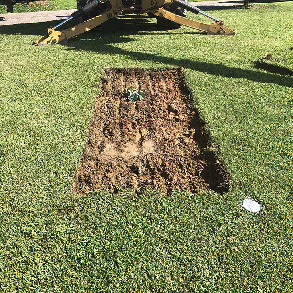 Well-kept burial grounds at Mount Harmony Memorial Gardens